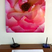 Farbe für die Verwaltung Farbe für die Verwaltung