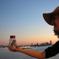 Vier Reyno für Helmut Schmidt