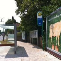 Ortsdurchfahrt ... ein Gutachter schreibt