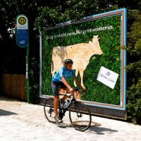 QUH verschönert auf eigene Kosten die Berger Ortsmitte!