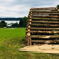 Die Welt wird besser mit jedem Tag