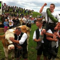 Hereinrennende Nachrichten: Kare g'winnt S'Ochsenrennad