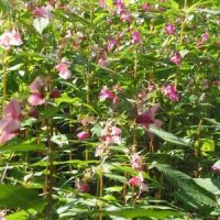 Neues aus dem Gemeinderat: die 15. Sitzung