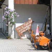 Zarte Pflänzchen Zarte Pflänzchen