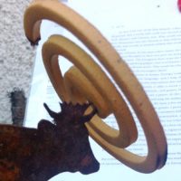 Die Rückkehr der Mücken-Ritter