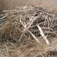 Der QUH-Adventskalender 2010 - das 8. Türchen