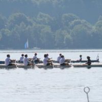 Sie rudern wieder