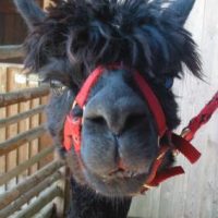 Der QUH-Adventskalender 2010 - das 20. Türchen