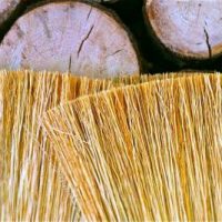 Präweihnachtliche Simultaneität