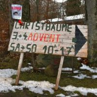 Der nachhaltige Weihnachtsbaum (WH)