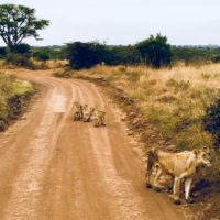 Die Roten gegen die Blauen (aktualisiert)