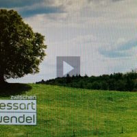 Kaum kann sie schwimmen, ist sie schon im Fernsehen!