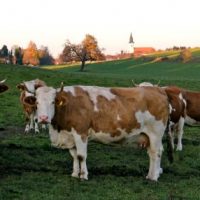 The Making of ... QUH-Kalender