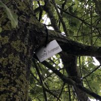 Kurz, aber nicht ganz schmerzlos: die 10. Sitzung des Gemeinderats