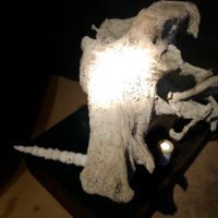 Endspurt Ateliertage: Auf den Spuren des Vergessenen von Allmannshausen bis Aufkirchen