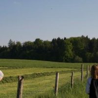 Werden Wadlhauser Winde wehen?