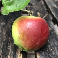 Weilsoisirgendwiazamhängd