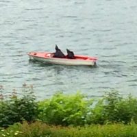 "War es Mord?" … oder Zitroneneis? - Zum 130. Todestag von König Ludwig II.