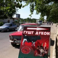 QÜhe dieser Welt ... (Folge 47) QÜhe dieser Welt ... (Folge 47)