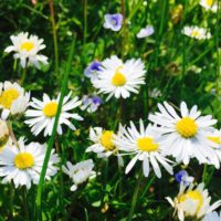 Groß und Klein - die 8. Sitzung des Berger Gemeinderates