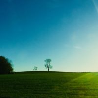 Das 4. Bäumchen: Die photogene Pappel vom "Monte Sibicho"