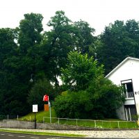 Knicke und Container: Neues aus dem Gemeinderat - Teil 2