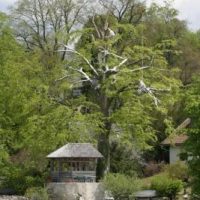 Klettermaxe Klettermaxe