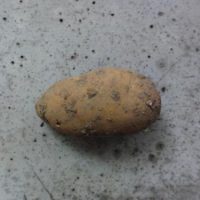 Verkünden statt abstimmen - die Gemeinderatssitzung