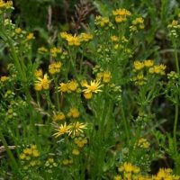 Neues aus dem Gemeinderat: der 2. Teil der 11. Sitzung