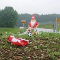 Der Kreisel diese Woche - Zwergenzuwachs!