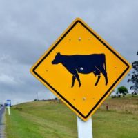 Fernweh, Heimweh - wieder ein Gruß aus weiter Ferne