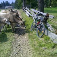 Grüße aus Südtirol