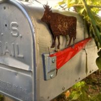 Der QUH-Adventskalender: Das 23. Türchen Der QUH-Adventskalender: Das 23. Türchen