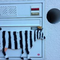 Der QUH-Adventskalender: Das 16. Türchen