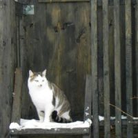 Der QUH-Adventskalender 2010 - das 22. Türchen