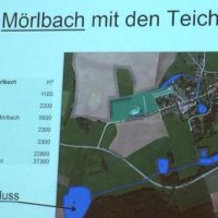 Die Teichkläranlage in Mörlbach