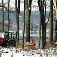 Schildbürgerstreich: Architekten verbauen Seeblick Schildbürgerstreich: Architekten verbauen Seeblick