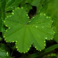 Es gibt sie noch die guten Dinge ... Es gibt sie noch die guten Dinge ...