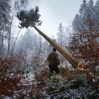 Mit Macht ... Mit Macht ...