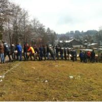 Der Maibaum ist wieder da!