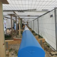 Maibaumversteigerung in Allmannshausen