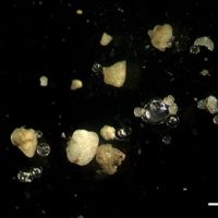 Mikroplastik im Starnberger See?