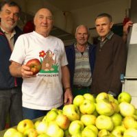 Der vorletzte Saft und der bunte Abend