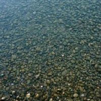 Münchner Künstler plant Gegenveranstaltung zur König Ludwig Feier