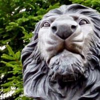 Neues "vom" Dipl. Ing. Dr. h.c. Siegfried Genz