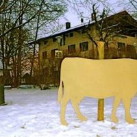 Ohne Worte Ohne Worte