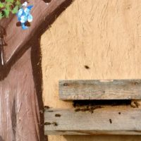 Der QUH-Adventskalender 2010 - das 7. Türchen