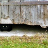 Der QUH-Adventskalender 2010 - das 4. Türchen