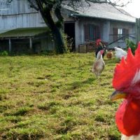 Der QUH-Adventskalender 2010 - das 14. Türchen