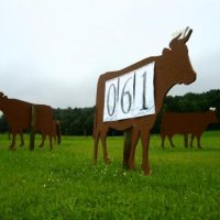 061! - Die Sensation ist halb perfekt. QUH wird von einer Welle der Sympathie erfaßt. 061! - Die Sensation ist halb perfekt. QUH wird von einer Welle der Sympathie erfaßt.